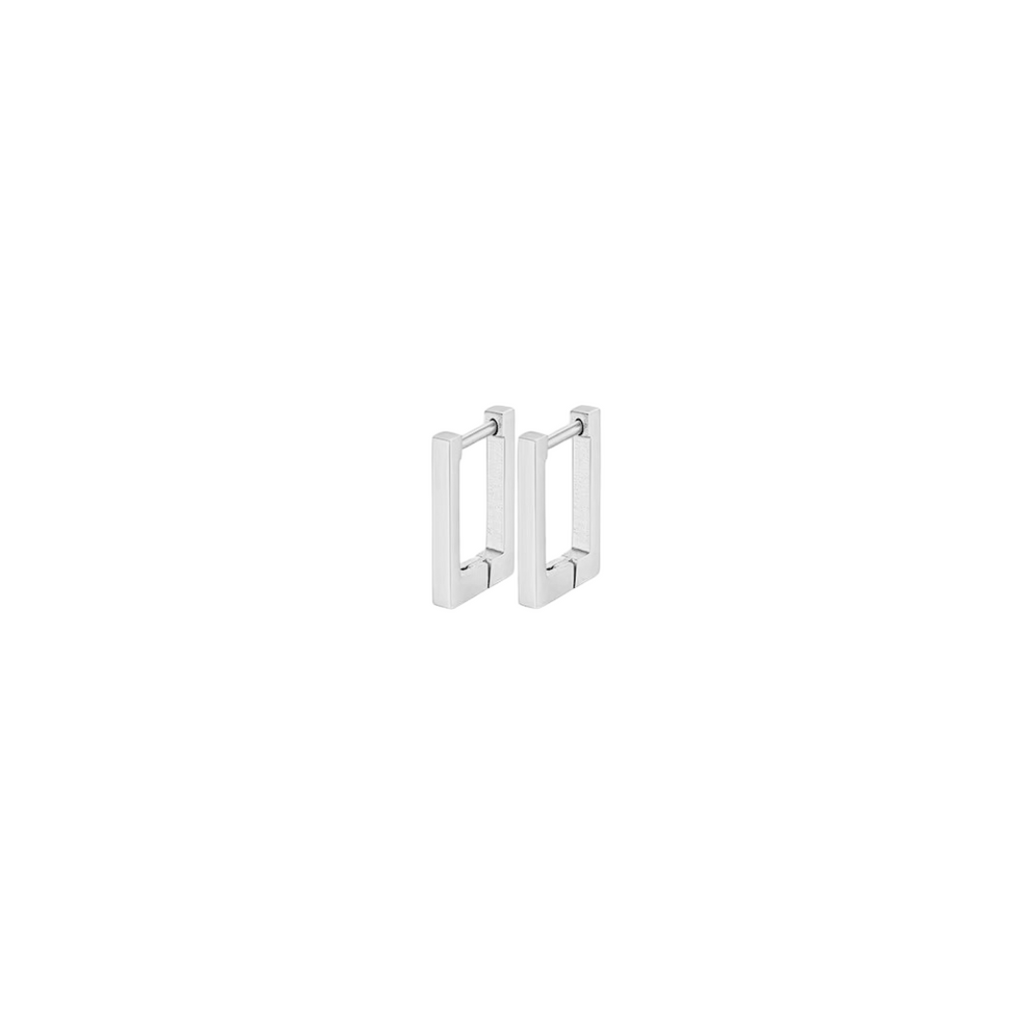 Hypoallergenic Stainless Steel Hoops